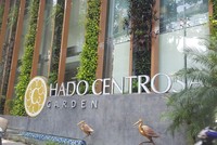 Tập đoàn Hà Đô (HDG): Lợi nhuận ước đạt 950 tỷ, vượt 20% so với kế hoạch 2019