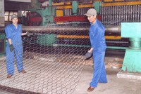 SFN chi trả 8% cổ tức đợt 2/2013 bằng tiền mặt