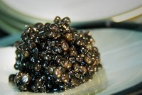 “Vàng đen” cho sức khỏe