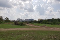 TP.HCM: Đất nông nghiệp hợp pháp trong quy hoạch được phép chuyển mục đích sử dụng