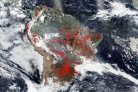 Những khu vực đang diễn ra các vụ cháy rừng ở Amazon. Ảnh: NASA.