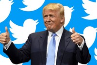 Tài khoản Twitter chính thức của Tổng thống Mỹ Donald Trump là @realDonaldTrump. Ảnh: gazeta.ru