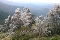 Đợt rét đậm vừa qua đã khiến 9.409 con gia súc và 43.242 con gia cầm bị chết...