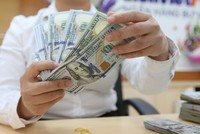 Chủ trương xuyên suốt từ nhiều năm nay là giảm dần và chấm dứt tình trạng đô la hóa nền kinh tế.