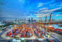 HSBC: Thiếu thông tin chính sách thương mại toàn cầu đặt doanh nghiệp vào nhiều rủi ro 