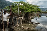 Ngân hàng thế giới dành mức vốn kỷ lục cho ứng phó biến đổi khí hậu