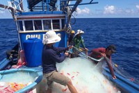 Tháo gỡ khó khăn cho vay theo Nghị định 67