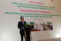 Tín dụng cho giảm nghèo, Việt Nam thành một điển hình trên thế giới