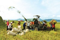 Vay vốn tín dụng phục vụ phát triển nông nghiệp, nông thôn của Chính phủ