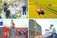 Doanh nghiệp châu Âu duy trì đánh giá tích cực về tình hình kinh doanh tại Việt Nam