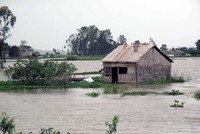 Cho vay nhà ở vùng đồng bằng sông Cửu Long 