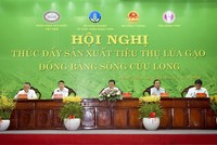 Hội nghị "Thúc đẩy sản xuất tiêu thụ lúa gạo Đồng bằng sông Cửu Long