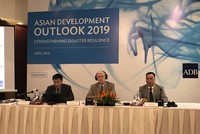 ADB dự báo kinh tế Việt Nam tăng trưởng 6,8% năm 2019, tăng giá điện và xăng là "cần thiết, tích cực"