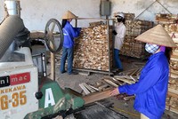 Standard Chartered: Doanh nghiệp quy mô vừa tại Việt Nam cần những chiến lược mới 