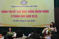 Tính đến ngày 10/6, dư nợ tín dụng đối với nền kinh tế tăng 5,75% so với cuối năm 2018