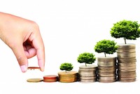 Tổ chức tài chính vi mô có được phép mở tài khoản thanh toán cho khách hàng?