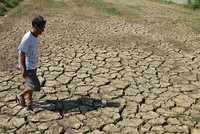 WB cho Việt Nam vay 84,4 triệu USD ứng phó với biến đổi khí hậu