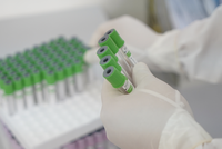 WB: Kết quả kinh tế Việt Nam năm 2021 sẽ phụ thuộc vào chiến dịch tiêm vắc-xin