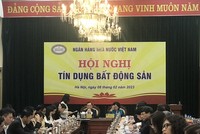 Bà Hà Thu Giang, Vụ trưởng Vụ Tín dụng các ngành kinh tế, Ngân hàng Nhà nước phát biểu tại Hội nghị