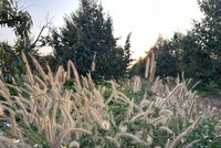 Xây dựng và phát triển vùng Tây Nguyên phải kết hợp hài hoà giữa phát triển kinh tế với văn hoá, xã hội, bảo vệ tài nguyên, môi trường, gắn kết chặt chẽ với bảo đảm quốc phòng - an ninh và tăng cường công tác đối ngoại.