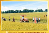 Định vị thương hiệu "tận tâm vì khách hàng"