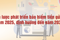 Chiến lược phát triển bảo hiểm tiền gửi - Bảo vệ tốt nhất người gửi tiền