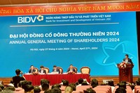 Đại hội đồng cổ đông 2024 BIDV (BID): Lên kế hoạch chào bán riêng lẻ 165 triệu cổ phiếu trong năm nay