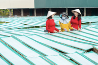 Agribank dành hơn 180.000 tỷ đồng vốn ưu đãi lãi suất thấp hỗ trợ khách hàng sản xuất, kinh doanh