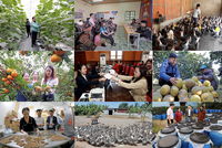 Nguồn vốn chính sách đã và đang hỗ trợ hộ nghèo phát triển kinh tế bền vững