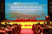 ĐHĐCĐ BIDV (BID): Lợi nhuận trước thuế riêng lẻ quý I/2025 đạt 7.019 tỷ đồng