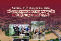 Agribank phát huy vai trò chủ lực, triển khai chính sách tín dụng hỗ trợ khách hàng vùng bão lũ