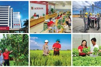 Tăng vốn điều lệ: Đòn bẩy để Agribank tiếp tục dẫn dắt dòng vốn cho nền kinh tế