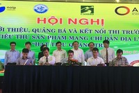 Hạt tiêu Quảng Trị được chỉ dẫn địa lý