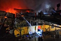 Công ty bảo hiểm nào liên quan đến trách nhiệm bảo hiểm cho vụ cháy Công ty Rạng Đông?