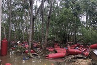 Bảo hiểm VietinBank ứng trước 10 tỷ đồng cho tổn thất bão số 6