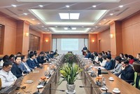 Năm 2024, VINARE (VNR) lãi 465 tỷ đồng