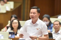 Đại biểu Trịnh Xuân An (đoàn Đồng Nai) tranh luận với Thống đốc Nguyễn Thị Hồng chiều 8/6.