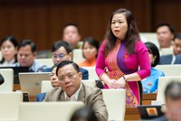 Đại biểu Quốc hội Vũ Thị Lưu Mai phát biểu tại buổi thảo luận hội trường sáng 27/10.