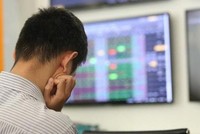 Thị trường chứng khoán Việt Nam đang trải qua giai đoạn tiêu cực.