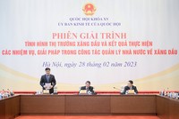 Phiên giải trình của Uỷ ban Kinh tế của Quốc hội sáng 28/2.