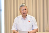 ĐBQH Trần Văn Lâm phát biểu tại họp tổ Quốc hội sáng 25/5