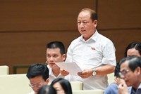 Đại biểu Sùng A Lềnh (đoàn Lào Cai) chất vấn Phó thủ tướng Lê Minh Khái sáng 8/6. 