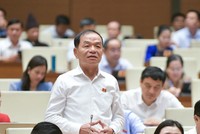 Đại biểu Quốc hội Lê Thanh Vân (đoàn Cà Mau) phát biểu tại hội trường sáng 3/11