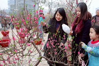 "Bảo đảm không để người dân nào bị đói, không có Tết"