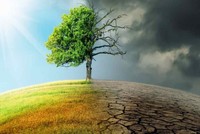 Thành lập Hội đồng quốc gia về phát triển bền vững