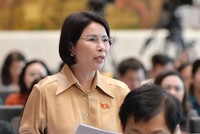 Đại biểu Trần Thị Nhị Hà (đoàn Hà Nội) cho rằng thuốc bán qua mạng chỉ nên là thuốc không kê đơn.