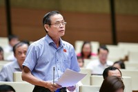 Đại biểu Trần Hữu Hậu (đoàn Tây Ninh) phát biểu tại hội trường chiều 6/11