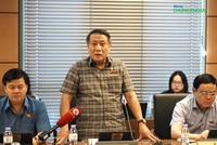 Đại biểu Hà Sỹ Đồng (đoàn Quảng Trị) phát biểu tại tổ 15 sáng 13/11 (Ảnh: M.Minh)