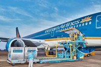 Vietnam Airlines sắp tăng vốn điều lệ với quy mô tối đa 22.000 tỷ đồng thông qua chào bán thêm cổ phiếu cho cổ đông hiện hữu