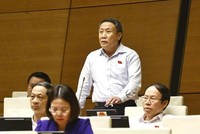 Đại biểu Hà Sỹ Đồng (đoàn Quảng Trị)